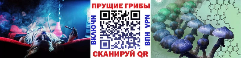 Купить  Усть-Лабинск  Галлюциногенные грибы Cubensis 