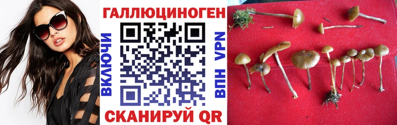 Псилоцибиновые грибы мухоморы Усть-Лабинск